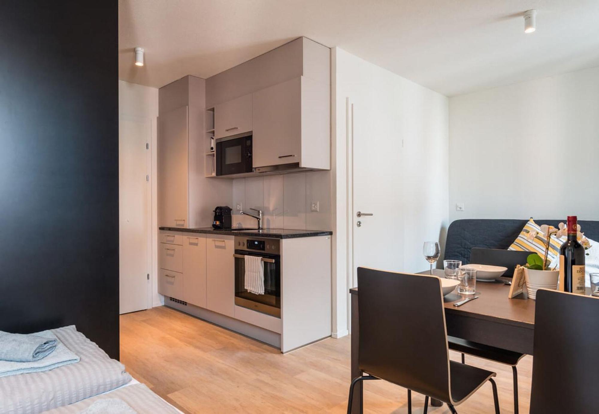 Hitrental Station Appartement Zürich